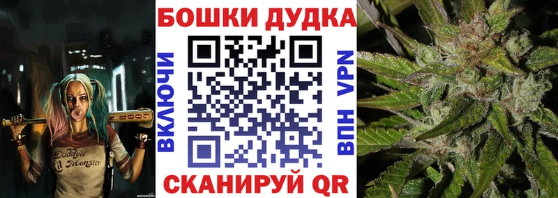 Магазины продажи наркотиков Камышин Бошки Шишки  COCAIN  Галлюциногенные грибы  ГАШИШ  Альфа ПВП 