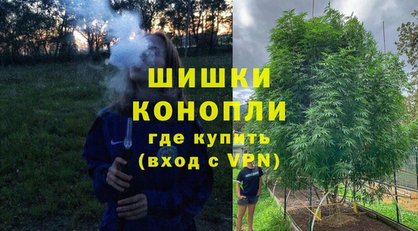 сатива Алексеевка