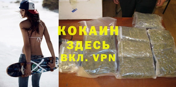 сатива Алексеевка