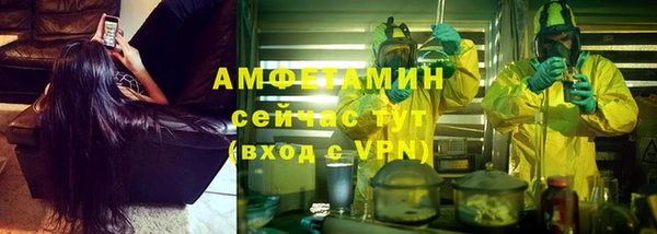 сатива Алексеевка