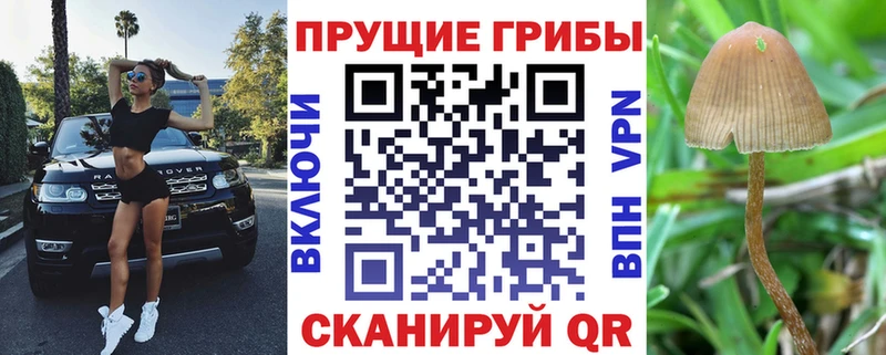 Псилоцибиновые грибы GOLDEN TEACHER  даркнет сайт  Камышин 